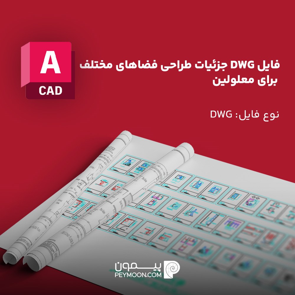 فایل DWG جزئیات طراحی فضاهای مختلف برای معلولین