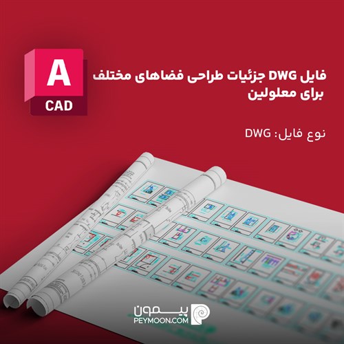 فایل DWG جزئیات طراحی فضاهای مختلف برای معلولین
